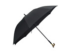Stick Umbrella
