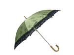 Lady's Umbrella